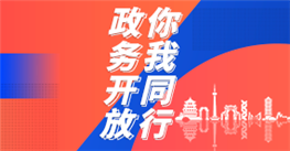 政务开放小图.png