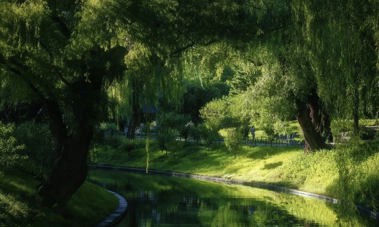 微信图片_2026-07-27_170404_047.jpg