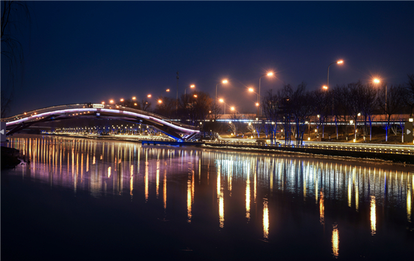 优雅亮相又一群黑天鹅落户海淀