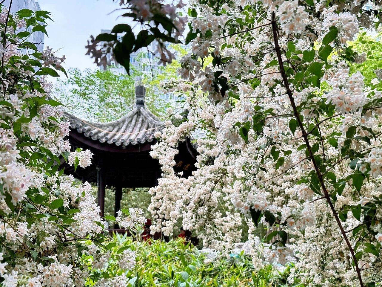 微信图片_2026-05-11_100015_949.jpg