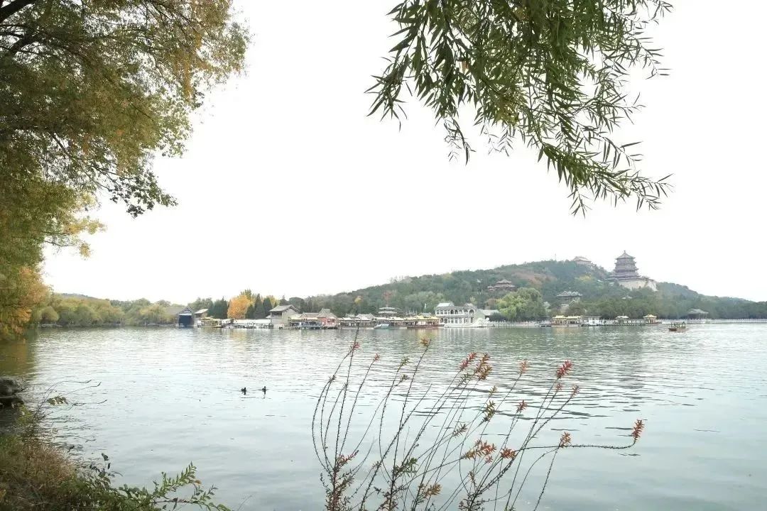 123.jpg
