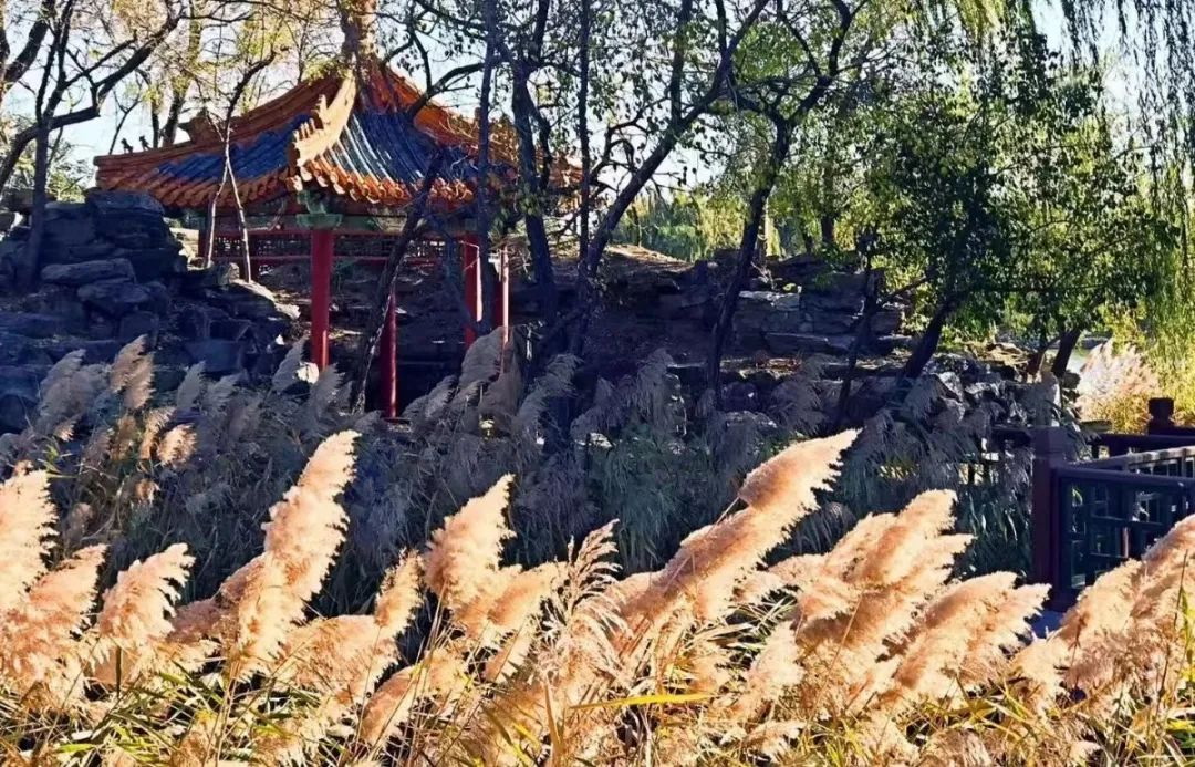 剪辑_2.jpg