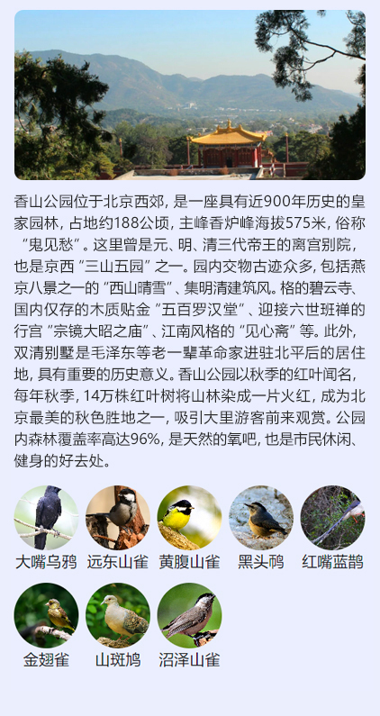 香山公园.jpg