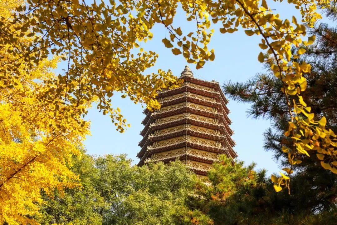 微信图片_2025-11-10_154041_884.jpg